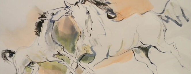 “6”